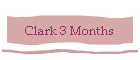 Clark 3 Months
