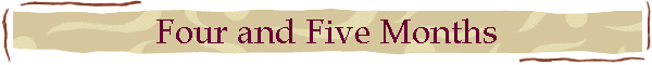 Four and Five Months