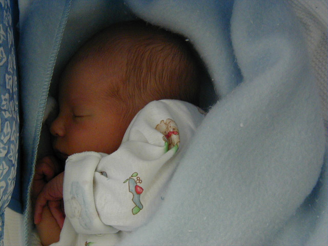Snug as a Bug in a Rug.jpg (340790 bytes)