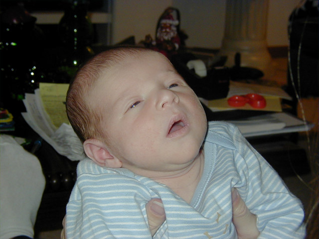 drowsy.jpg (391016 bytes)