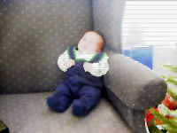 Clark Moose Outfit Chair.jpg (10529 bytes)
