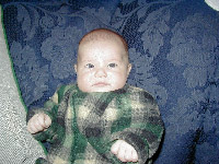 Flannel Closeup.jpg (16726 bytes)