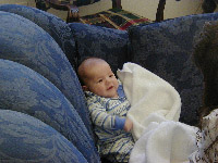 Happy Morning D.jpg (14943 bytes)