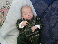 Flannel Close.jpg (13548 bytes)